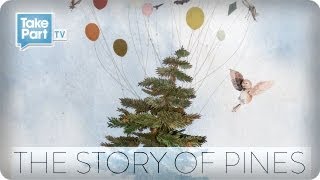 The Story of Pines from Alison Sudol  Participant Media  TakePart TV [upl. by Bogosian21]