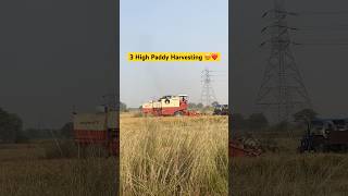 Preet Harvester Combine Paddy Harvesting 😍❤️ [upl. by Stoddart278]