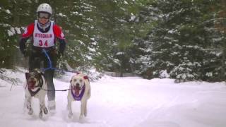 2016 Three Bear Sled dog Race Skijoring [upl. by Amieva]