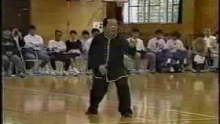 Xing Yi Quan demonstration by Feng zheng Bao [upl. by Eirased]