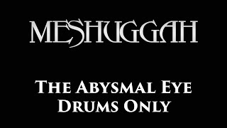 Meshuggah The Abysmal Eye DRUMS ONLY [upl. by Sibeal]