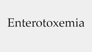 How to Pronounce Enterotoxemia [upl. by Arahsat]