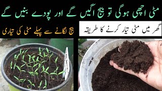 How to make best seed starting potting mix healthy Soil for Summer plants [upl. by Adriano]