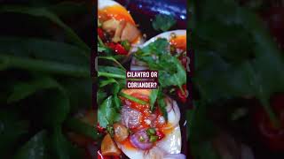 Cilantro vs Coriander what is the difference [upl. by Maybelle]