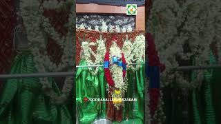 Doddaballapur is Getting Ready for 17th Moharram doddaballapura 17thmuharram anjumanehyderia [upl. by Taka]