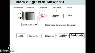 FEBXEUnit5Sensor Biosensor [upl. by Ula399]