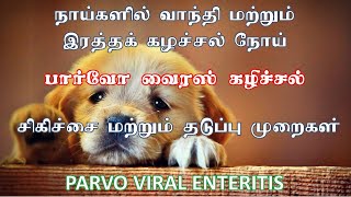 நாய்களில் இரத்தக் கழிச்சல் சிகிச்சை  தடுப்பூசி  PARVO VIRAL ENTERITIS TREATMENT  VACCINATION [upl. by Melisenda]