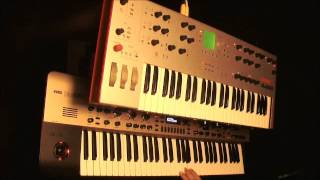 King Korg VS Alesis Ion 30SC Mini vs StixMiniMouge [upl. by Cristine995]