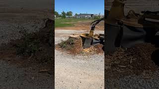 Stump Removal Process [upl. by Lienet671]