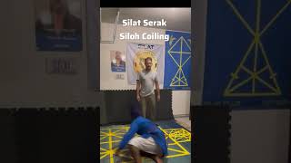 Silat Training  Silat Serak Siloh Coiling  Guru West [upl. by Ynamreg]