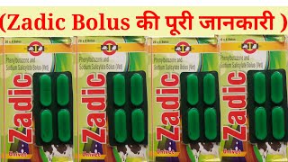 Zadic bolus की पूरी जानकारी पशुओ मे लंगड़ाहट और colic pain की जबरजस्त दवा [upl. by Elvie472]