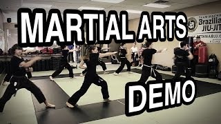 Team Alliance  Martial Arts Demo [upl. by Adran]