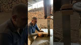 Sawmill in action woodworking [upl. by Beitch]