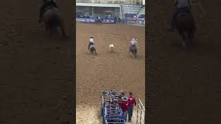 Team Roping Clean Runrodeo horse cowboys teamroping shorts [upl. by Leahciam]