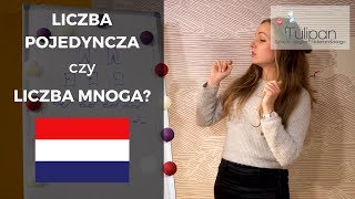 56 Liczba pojedyncza czy liczba mnoga [upl. by Abrahams]