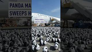 Panda mania sweeps Hong Kong [upl. by Kerril]