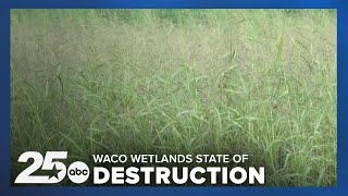 Lake Waco Wetlands in state of destruction as the area celebrates its 20th anniversary [upl. by Drofwarc]