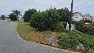 Weed problem no concern to home owner in The Villages FL [upl. by Edelstein143]