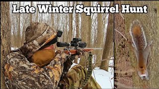 Squirrel Hunting  Ruger 7722 Mag  Late Winter Squirrel Hunt [upl. by Babby]