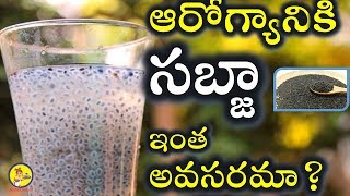 Revealed  Top 13 Health Benefits Of Sabja Seeds Telugu  Uses of Sabja Basil  Gruha Lakshmi [upl. by Meeks]