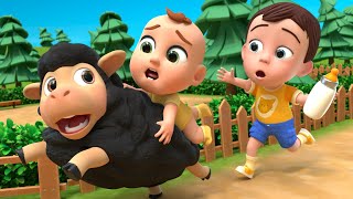 Baa Baa Black Sheep Song  Lalafun Nursery Rhymes amp Kids Songs [upl. by Mclaughlin]