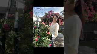 My Garden Rose In Houston TX Vườn Hoa Hồng Của Mình Ở Houston TX [upl. by Aryhs]