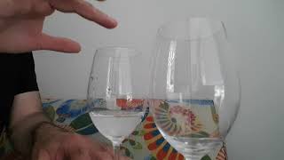 Wine Glass Resonance  Sound Waves [upl. by Scarrow]