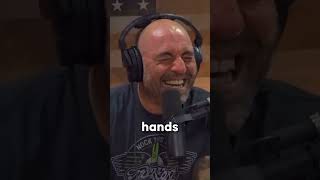 Joe Rogan and Brendan Schaub on Theo Vons Hilarious Koala Story joerogan podcast animals [upl. by Neelyhtak]