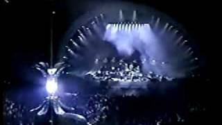 Pink Floyd  Comfortably Numb  Yankee Stadium 94 [upl. by Kape]