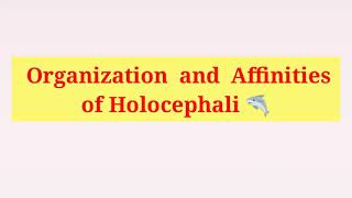 Holocephali  General character  Organisation and Affinities of Holocephali in Hindi amp English [upl. by Silsbye]