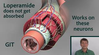 Comparing Loperamide to Other Opioids [upl. by Naltiak362]