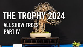 Bonsai Trophy 2024 Belgium all show trees part 4 [upl. by Aikemal874]