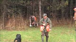 hunting Dog  Entraînement Jacques et Claude avec Octane amp Lee [upl. by Aleyam340]