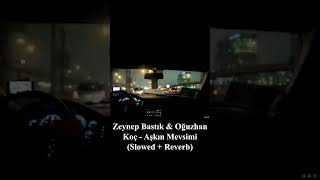 Zeynep Bastık amp Oğuzhan Koç  Aşkın Mevsimi Slowed  Reverb [upl. by Lsil]