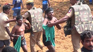 Avaniyapuram Jallikattu 2024 Videos [upl. by Ruperta]