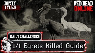 Egret Locations RDR2 Daily Challenges Hunting Guide Red Dead Online [upl. by Aisatsanna132]