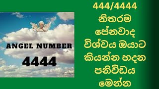 4444444 Angel Number Meaning in Sinhala [upl. by Anayeek]