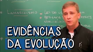 DARWINISMO CRIACIONISMO E LAMARCKISMO  EVIDÊNCIAS DA EVOLUÇÃO [upl. by Trilbie]