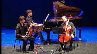 Aiden Yu 14 Piano Trio in Fsharp minor Op 1 No 1  i Andante con moto [upl. by Yentihw]