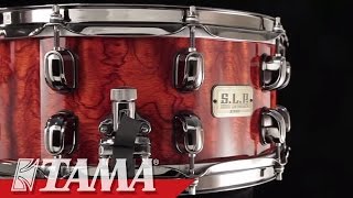 TAMA SLP GBubinga Snare Drum [upl. by Attenra841]