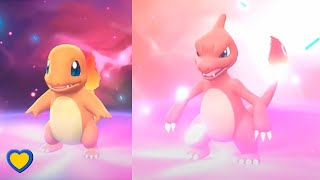 Charmander Evolves into Charmeleon at Level 16 in Pokémon Lets Go Pikachu amp Eevee [upl. by Mcdonald]