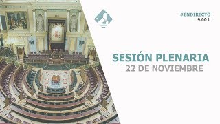 Sesión Plenaria 22112018 [upl. by Fairweather]