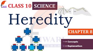 Class 10 Science Chapter 8 Heredity [upl. by Reprah476]