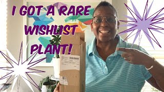 46 Plant Mail 💌  I Got A RARE Plant From My Wishlist  Boophone Disticha [upl. by Bullion]