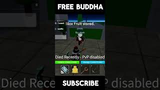 Meet the Marines team and bloxfruits memebloxfruits pvpbloxfruits [upl. by Asira]