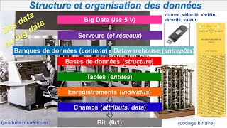 Codage et Structuration des Données  Data Sciences [upl. by Anij]