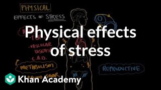 Physical effects of stress  Processing the Environment  MCAT  Khan Academy [upl. by Rokach928]