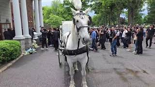 White Horse and Funeral Carriage from Brennan F H to Greenwood Cemetery [upl. by Demp]