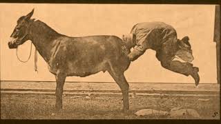 EADWEARD MUYBRIDGE MULE KICKING [upl. by Ahsyt214]