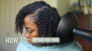 How to Diffuse Coily Hair  Stretch Diffusing  Curlsmith [upl. by Ynnahc]